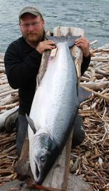 Målselva seiler opp som en av lakse-favorittene i 2011